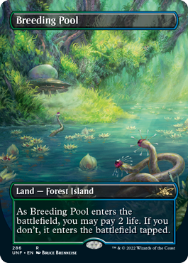 breeding-pool