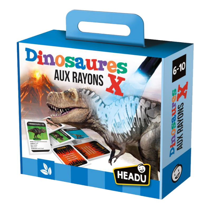 Boite de Dinosaures aux Rayons X